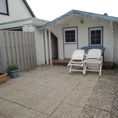 Goden Wind 4 *